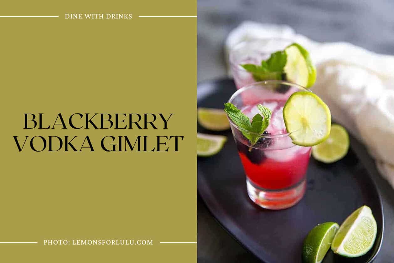 Blackberry Vodka Gimlet
