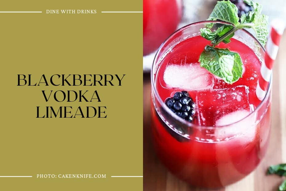 Blackberry Vodka Limeade
