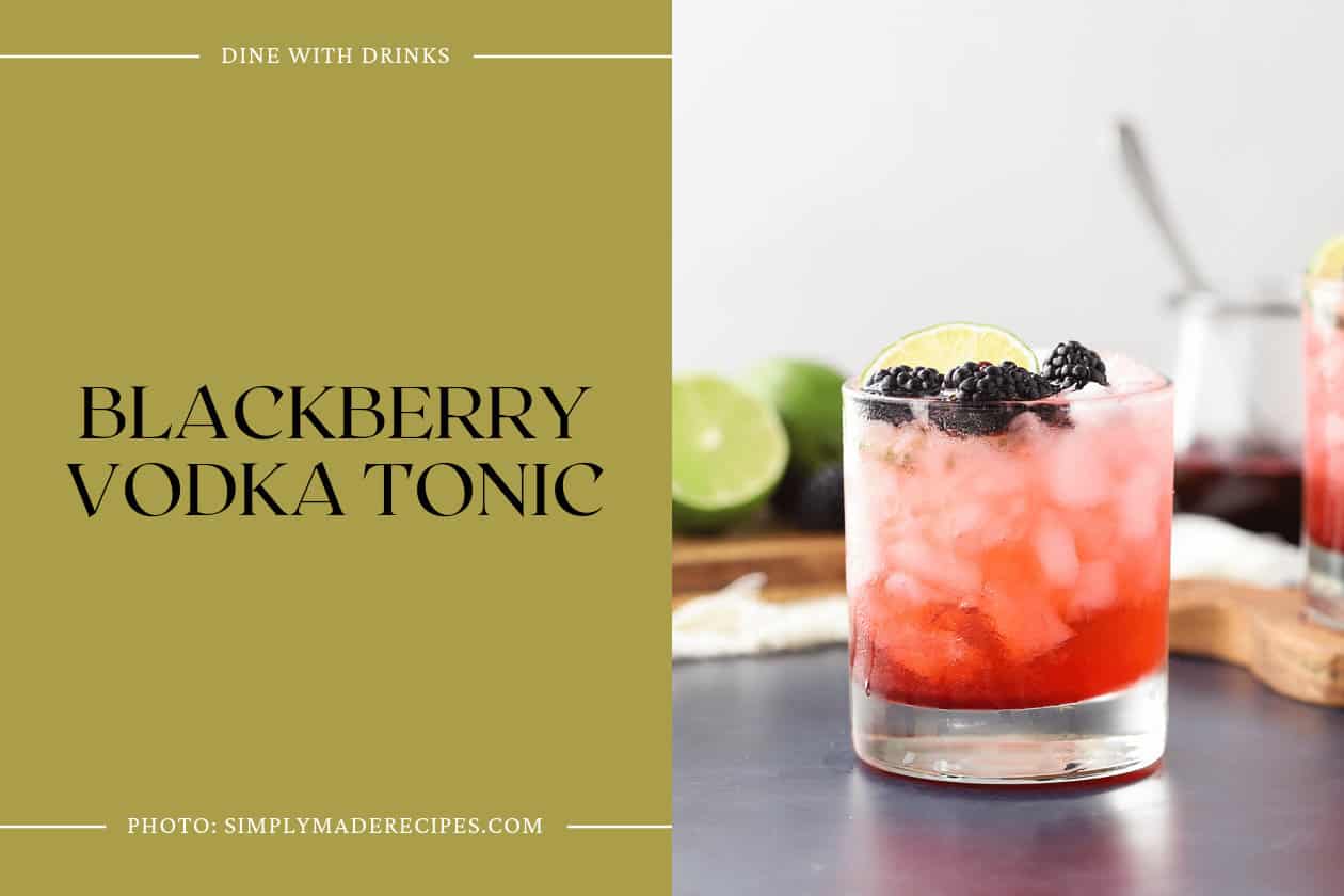 Blackberry Vodka Tonic