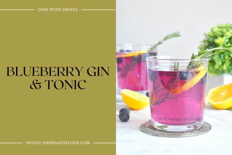 17 Blueberry Gin Cocktails That Will Blow Your Mind! | DineWithDrinks