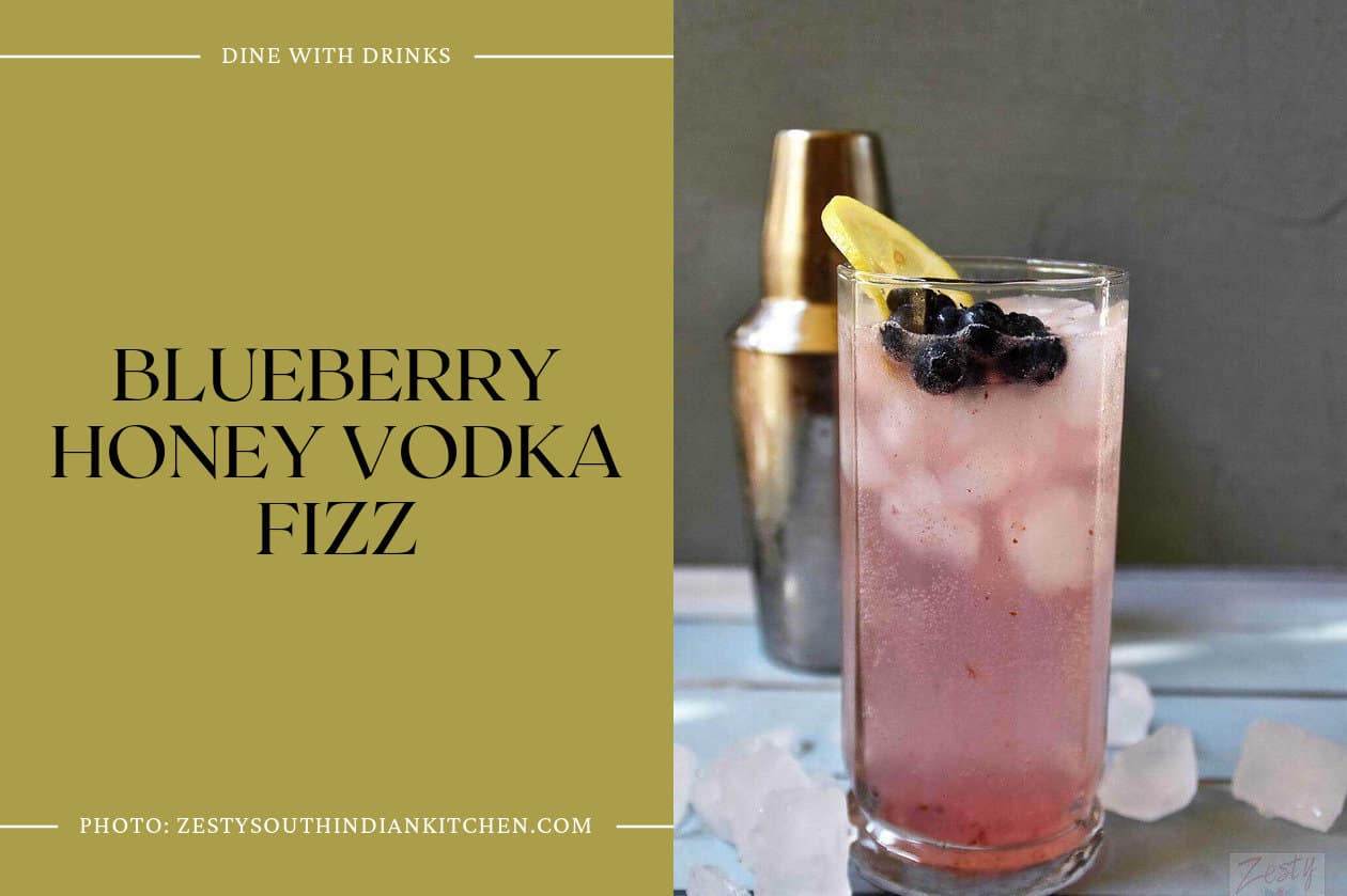 Blueberry Honey Vodka Fizz