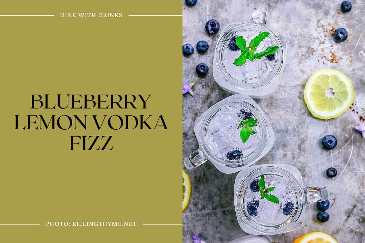 Blueberry Lemon Vodka Fizz