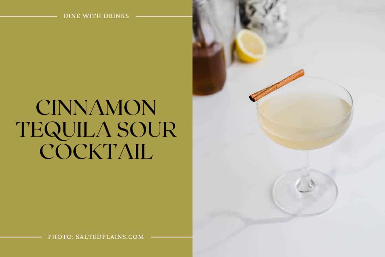 Cinnamon Tequila Sour Cocktail