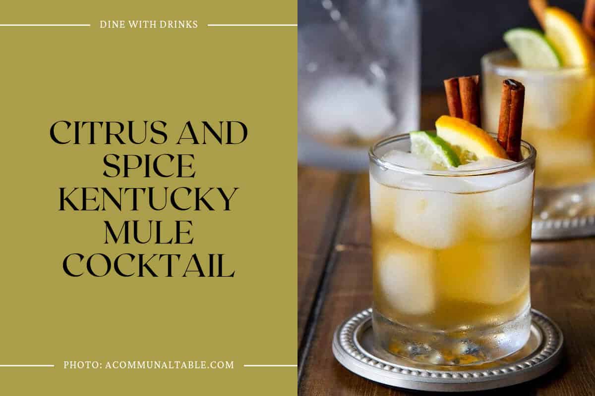 Citrus And Spice Kentucky Mule Cocktail