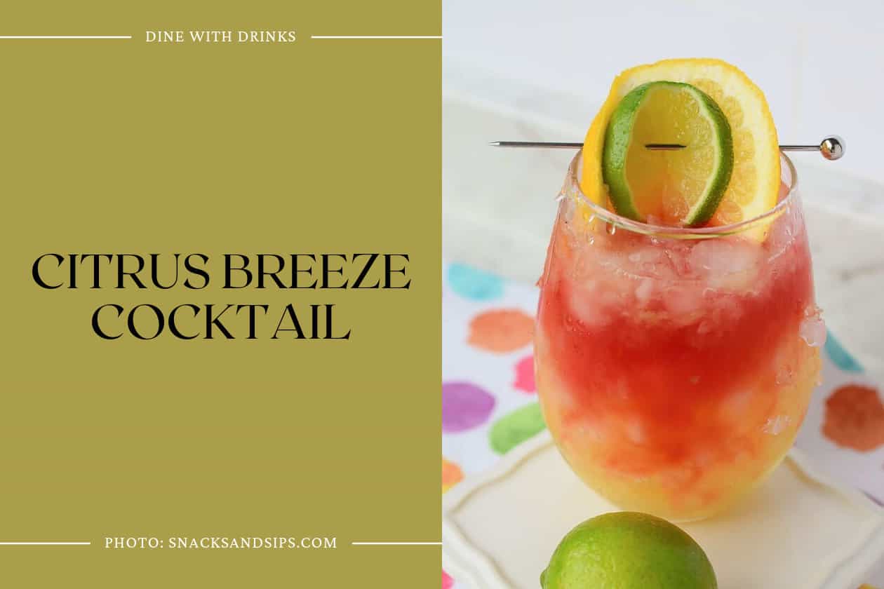Citrus Breeze Cocktail