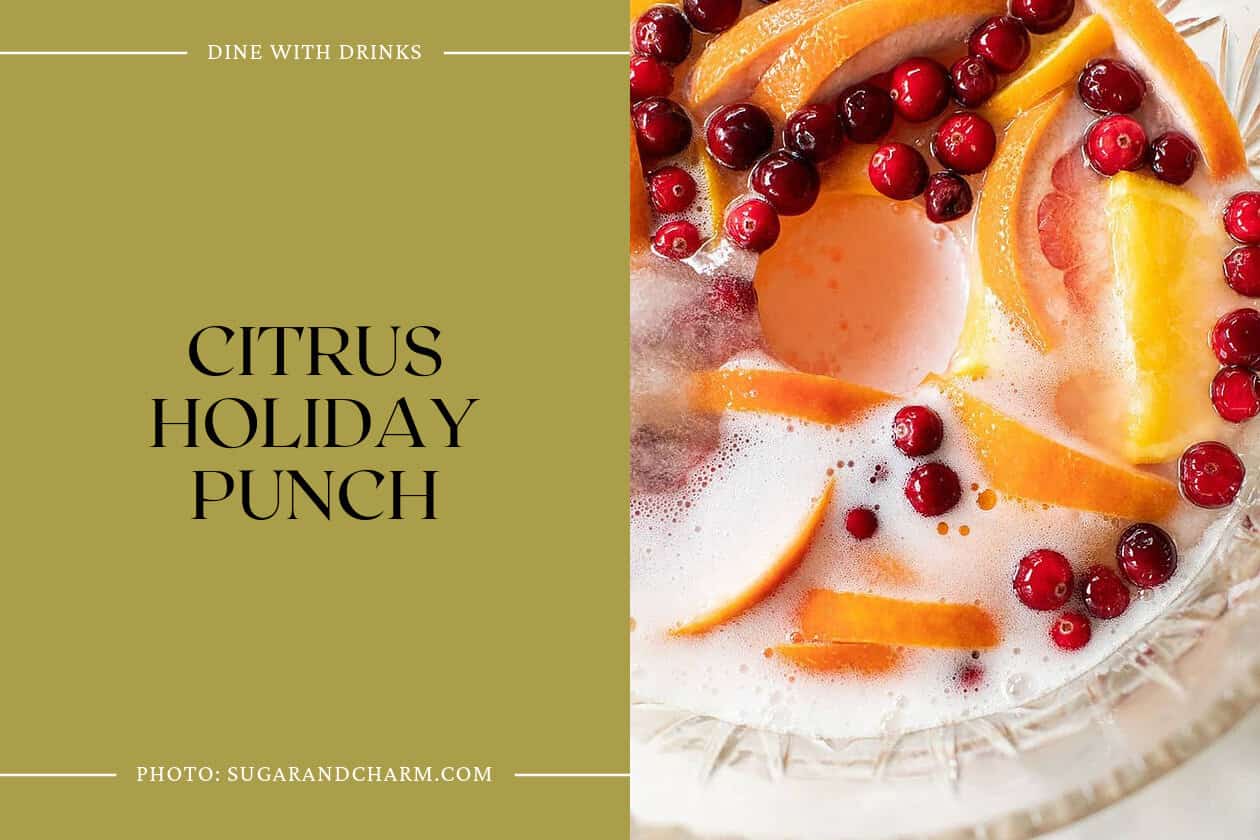 Citrus Holiday Punch