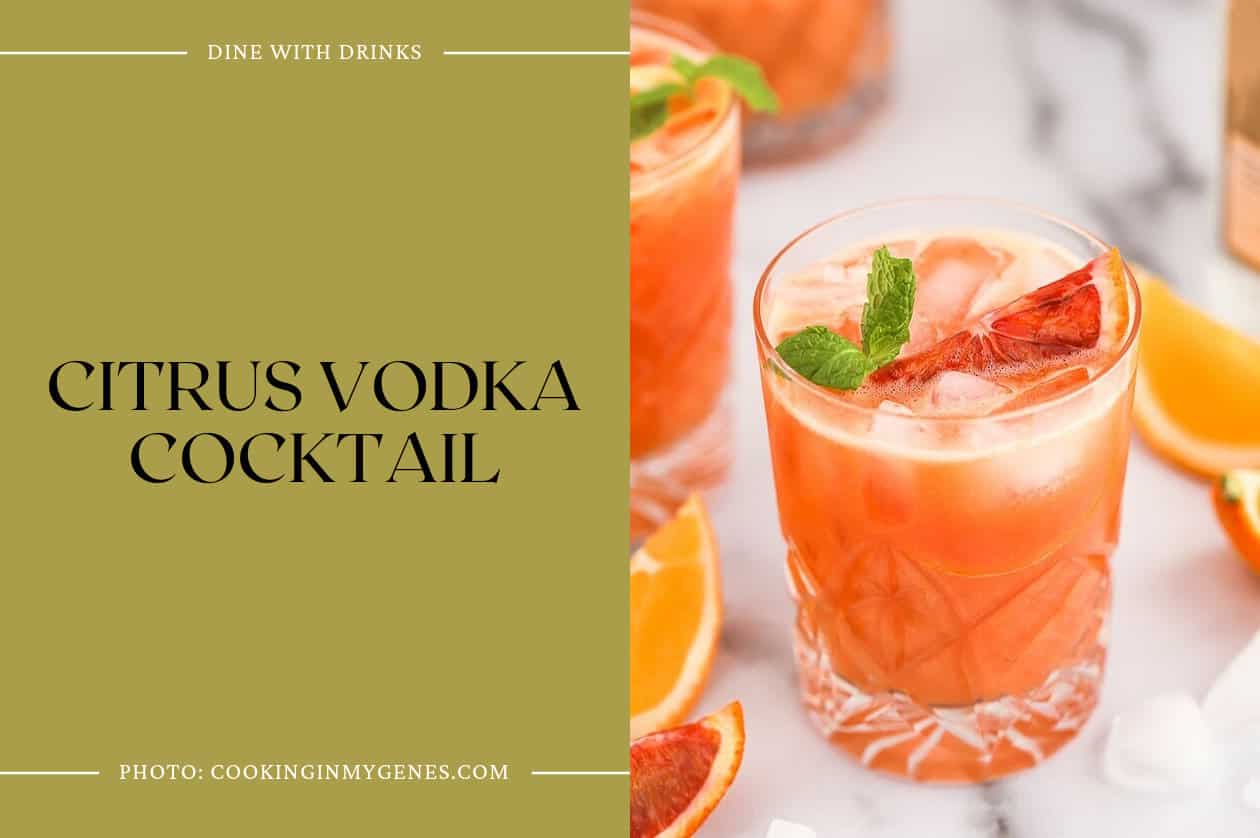 Citrus Vodka Cocktail
