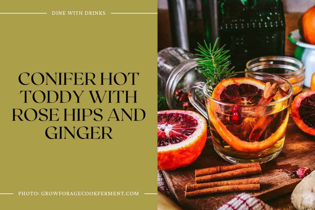 Conifer Hot Toddy With Rose Hips And Ginger