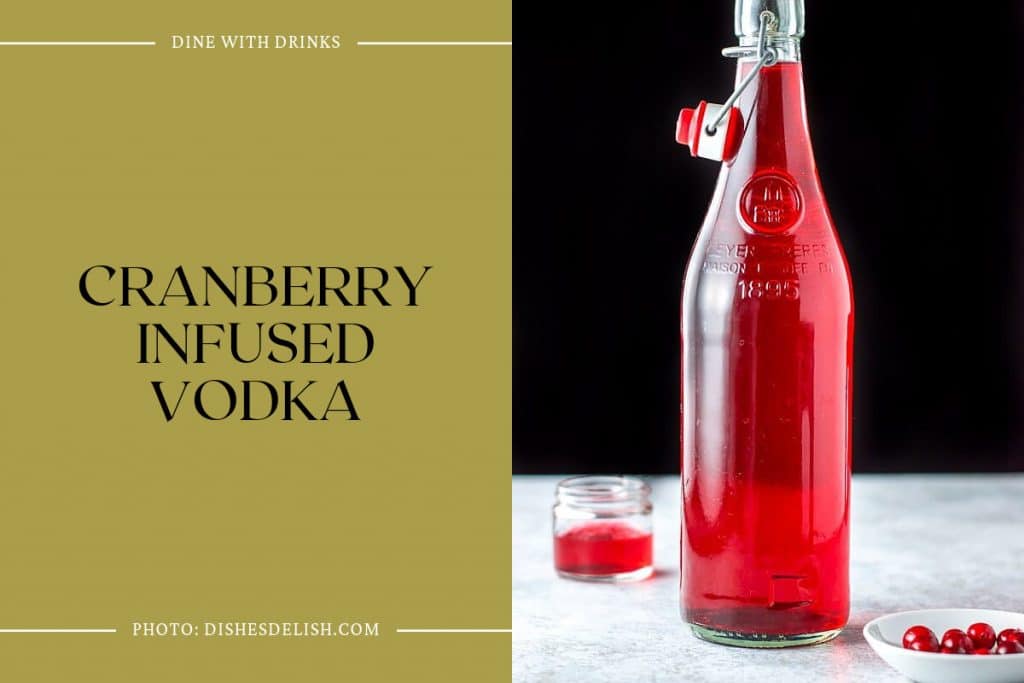 16 Cranberry Infused Vodka Cocktails to Shake Up Your Night! DineWithDrinks