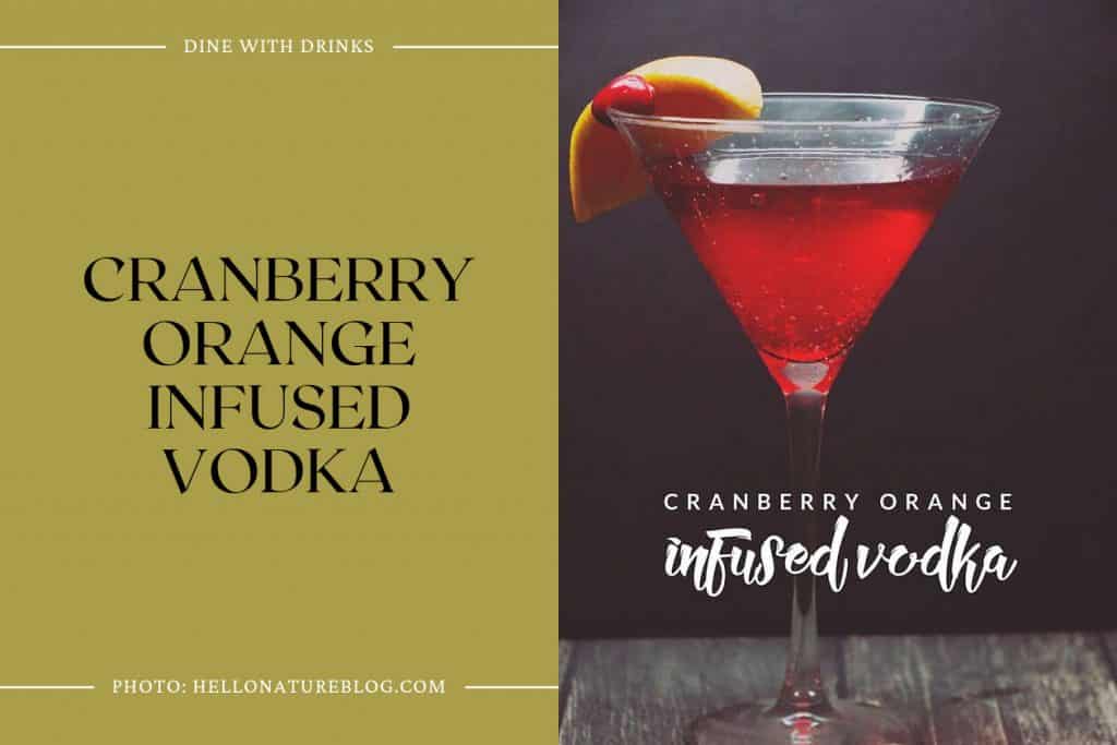 16 Cranberry Infused Vodka Cocktails to Shake Up Your Night