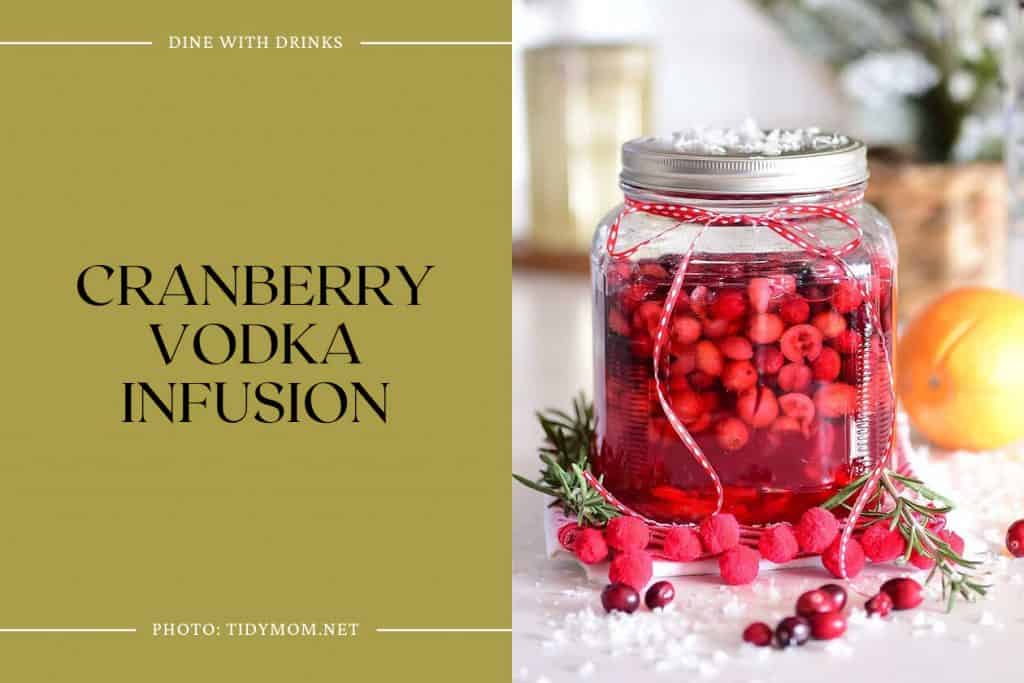 16 Cranberry Infused Vodka Cocktails to Shake Up Your Night! DineWithDrinks