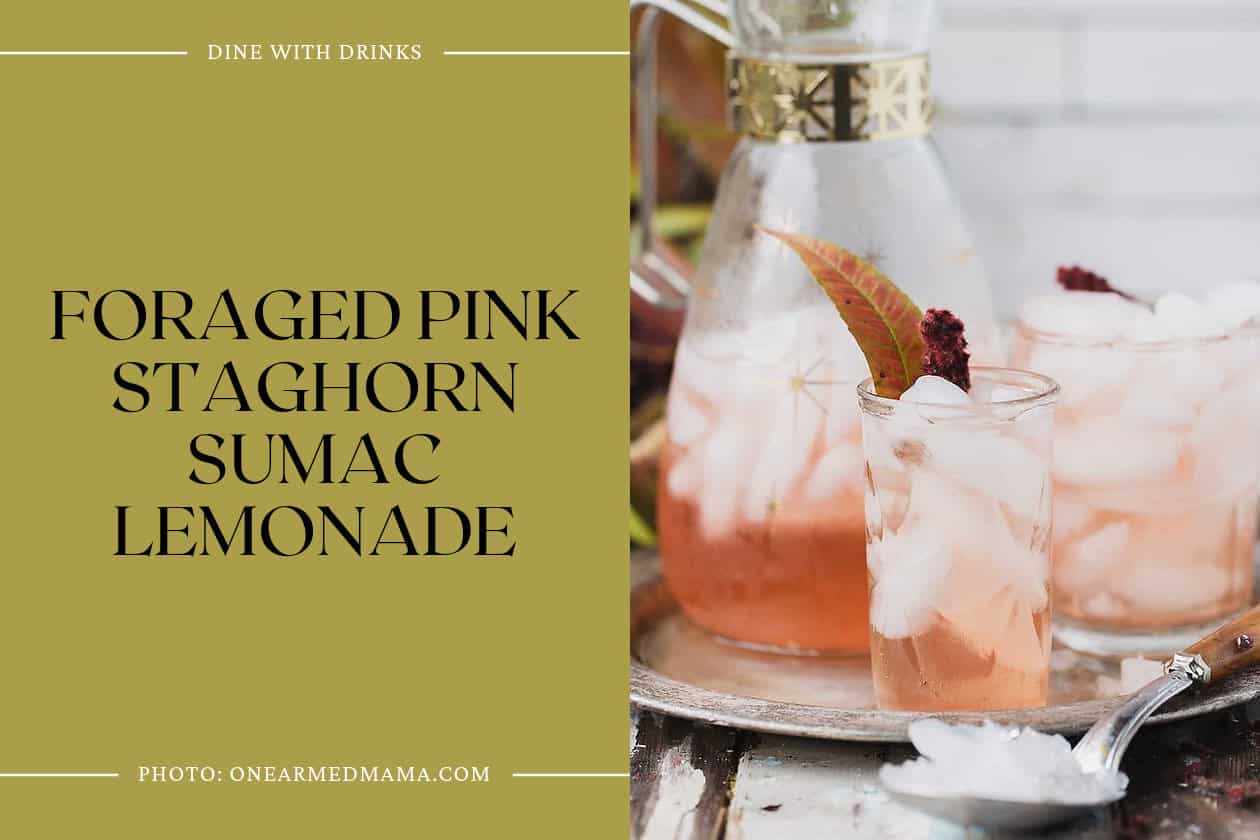 Foraged Pink Staghorn Sumac Lemonade
