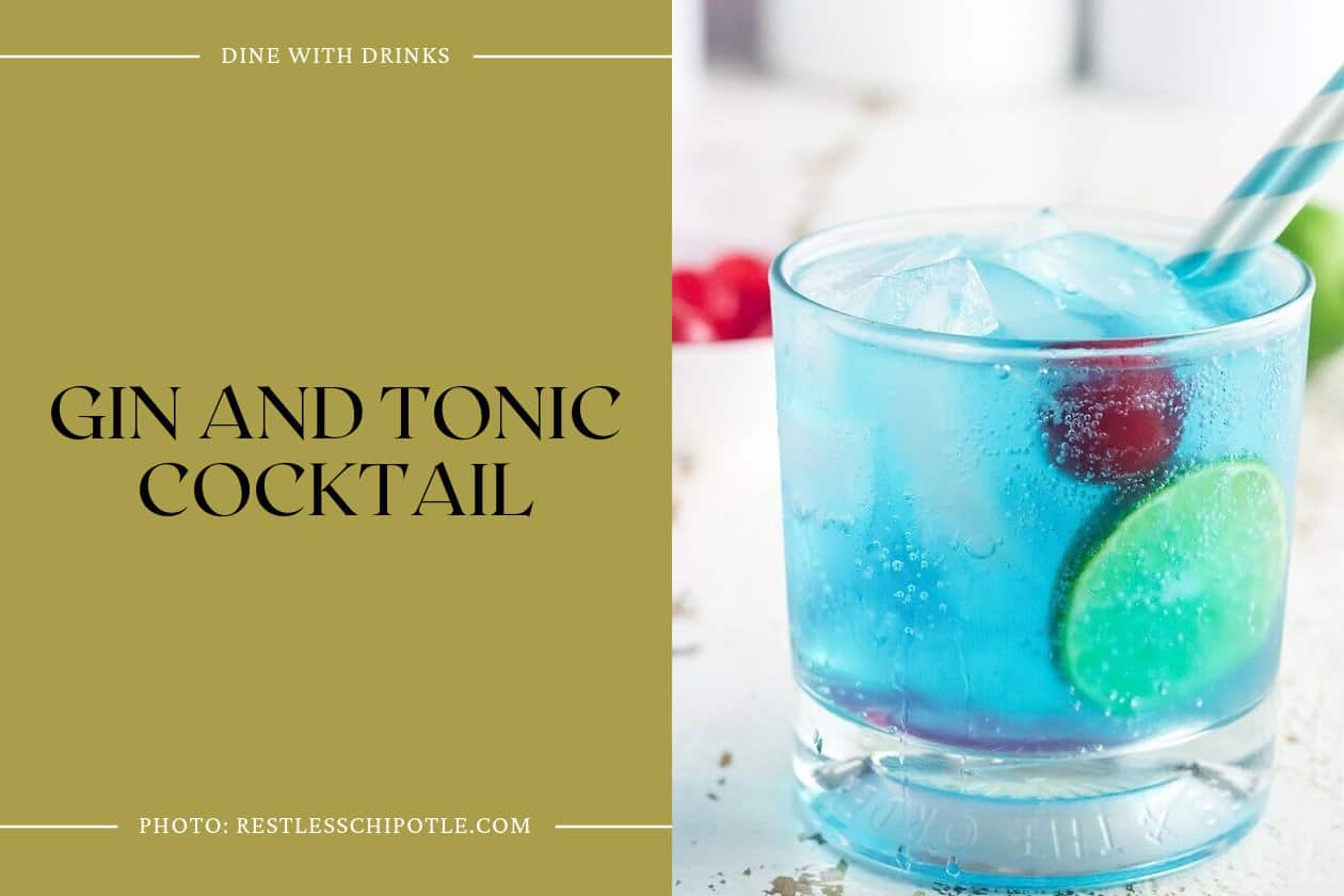 Gin And Tonic Cocktail