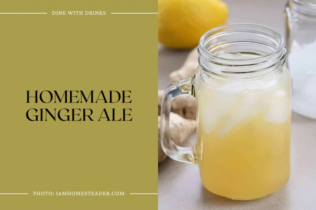 24 Ginger Ale Cocktails That Will Spice Up Your Life | DineWithDrinks