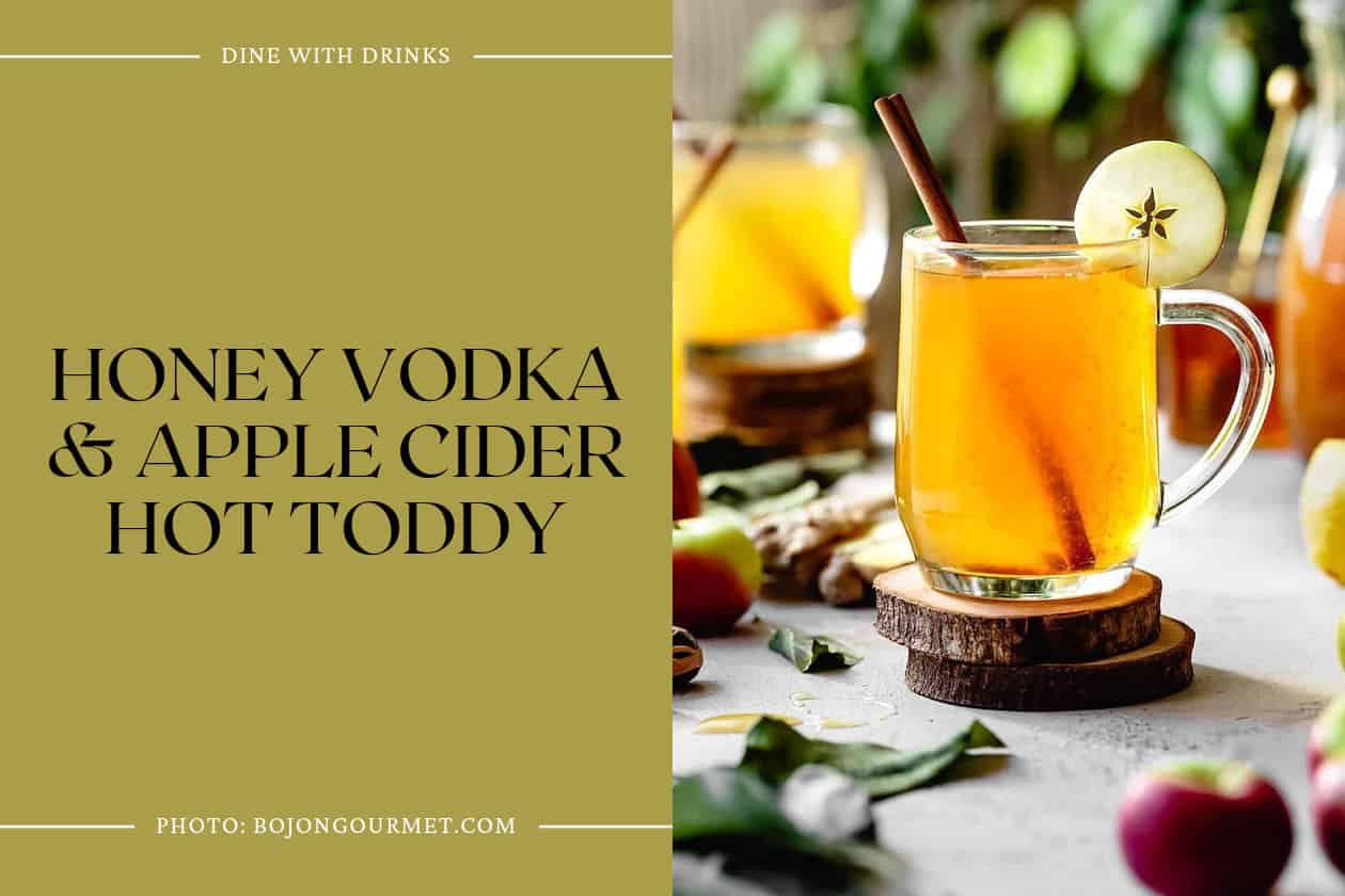 Honey Vodka & Apple Cider Hot Toddy