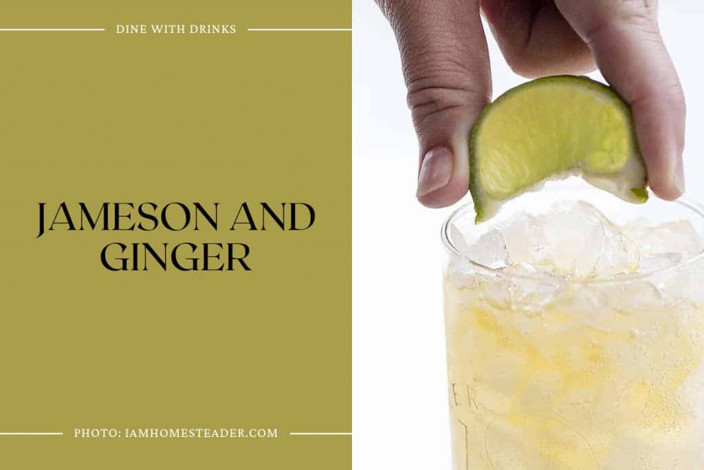 24 Ginger Ale Cocktails That Will Spice Up Your Life DineWithDrinks