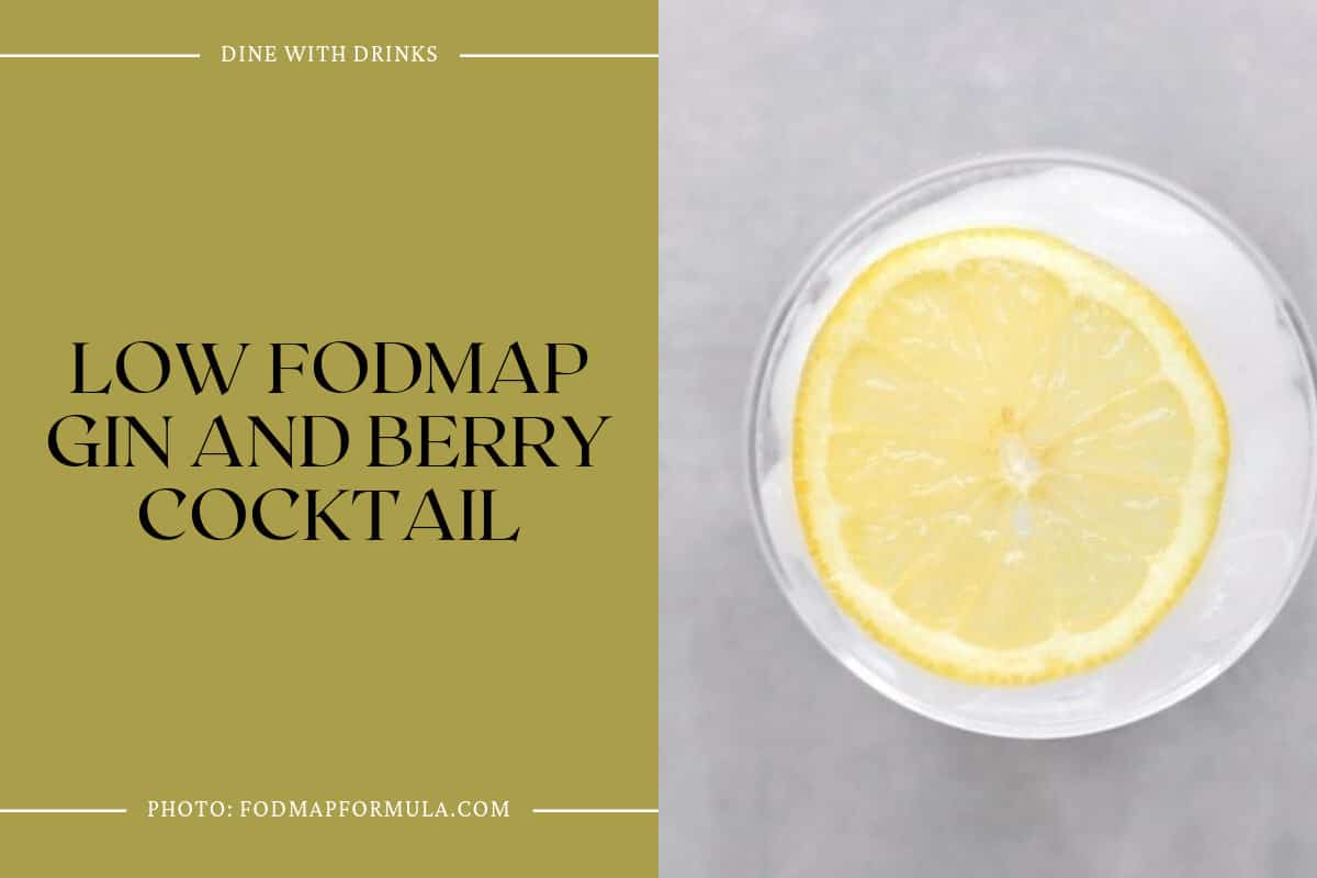 Low Fodmap Gin And Berry Cocktail