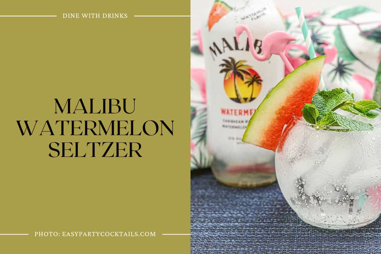 Malibu Watermelon Seltzer