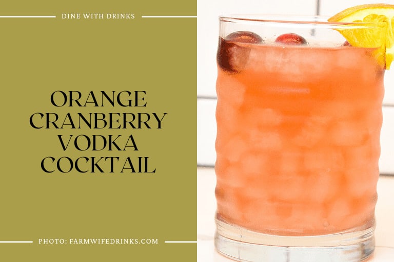 Orange Cranberry Vodka Cocktail