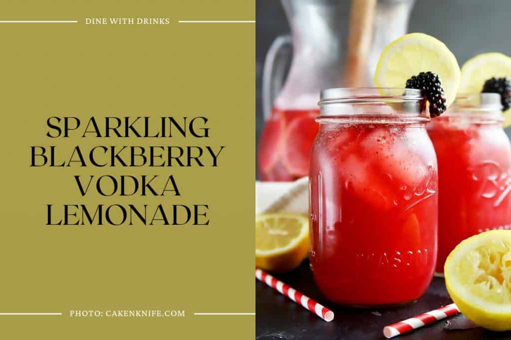 28 Blackberry Vodka Cocktails That Will Shake Up Your Night
