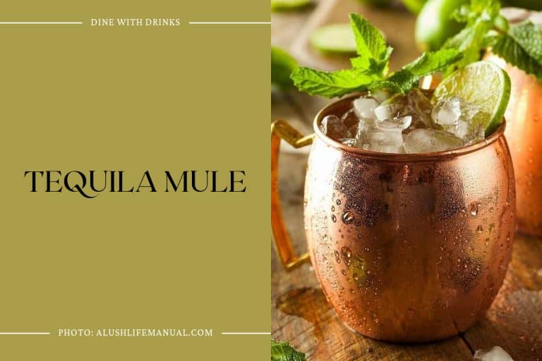 20 Tequila and Ginger Beer Cocktails to Spice Up Your Fiesta! DineWithDrinks