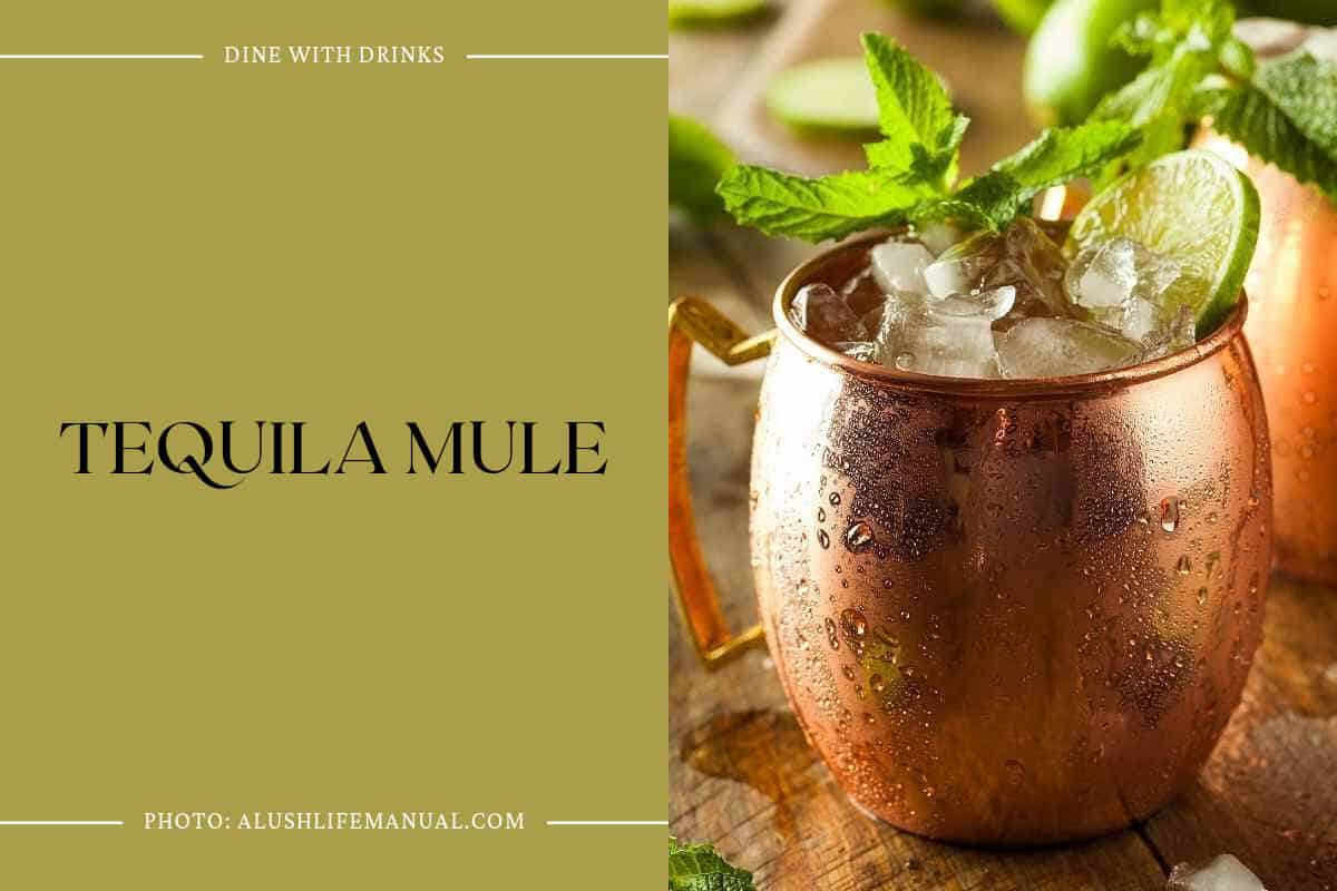 Tequila Mule
