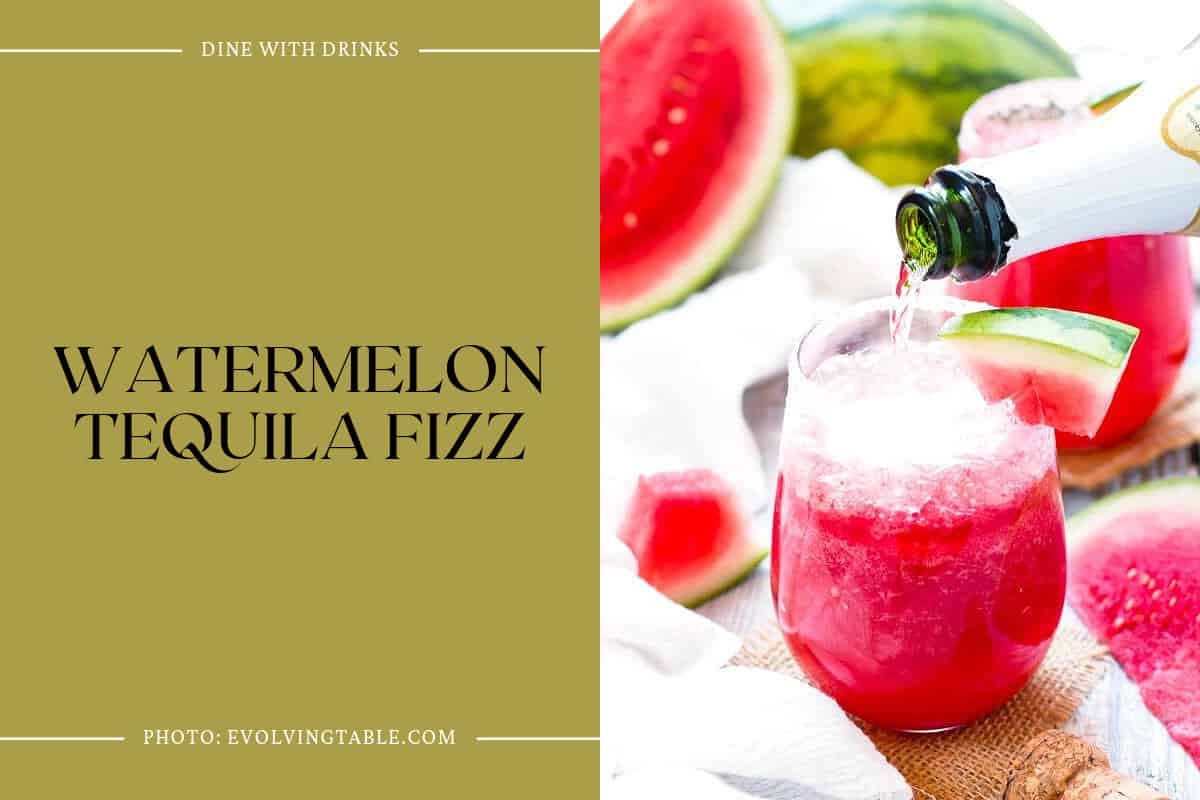 Watermelon Tequila Fizz