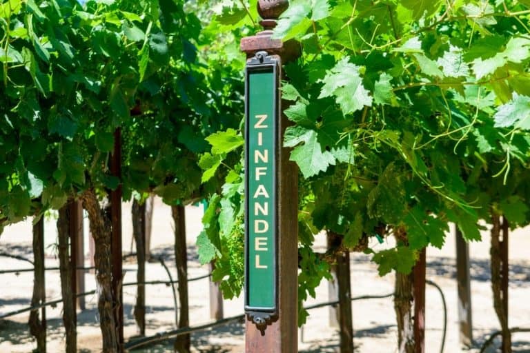 Zinfandel vs. Sauvignon What’s the Difference? DineWithDrinks
