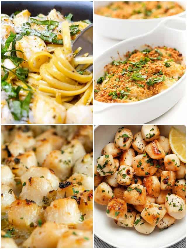 24 Bay Scallop Recipes That'Ll Make Your Taste Buds Sizzle!
