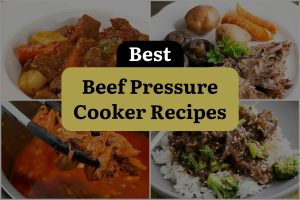 27 Best Beef Pressure Cooker Recipes