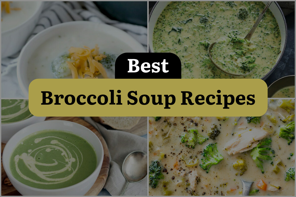 19 Best Broccoli Soup Recipes