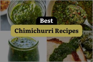 27 Best Chimichurri Recipes