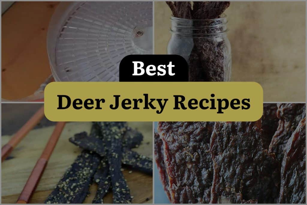 21 Deer Jerky Recipes That Will Make You Go Wild DineWithDrinks   Best Deer Jerky Recipes 1024x683 