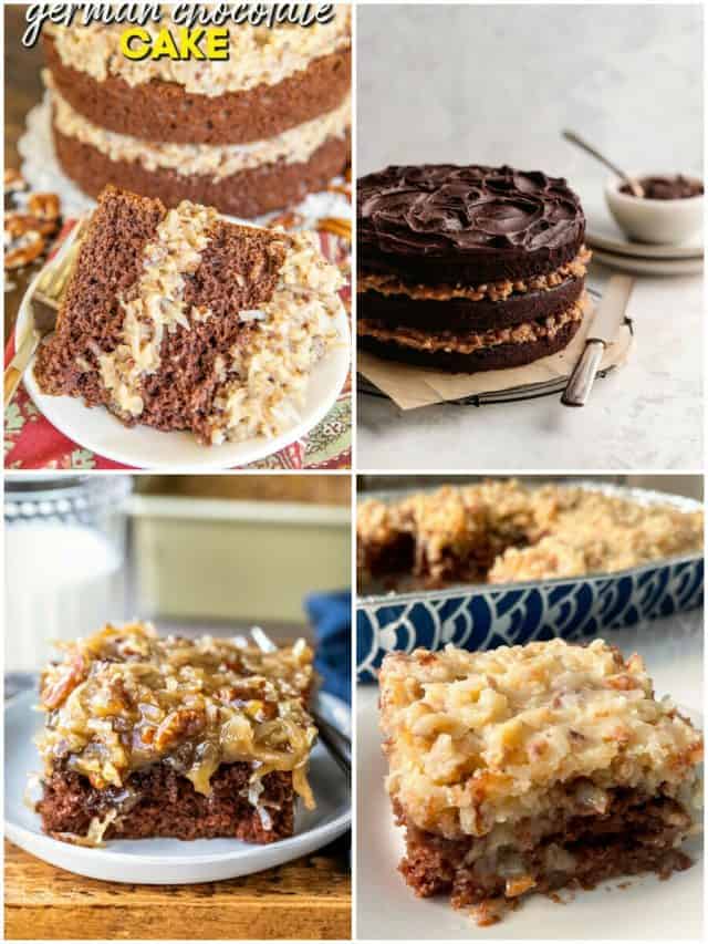 24 Best German Chocolate Cake Recipes