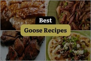 21 Best Goose Recipes