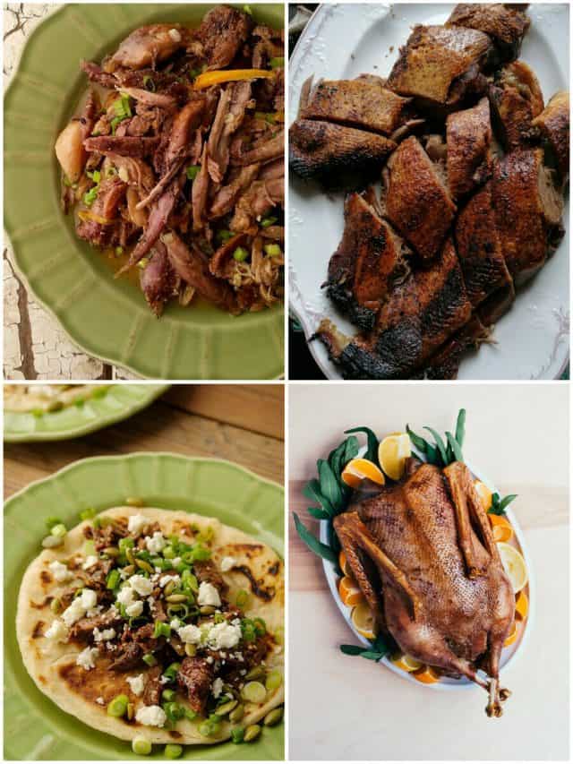 21 Goose Recipes That'Ll Have You Honking For Seconds!