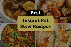 28 Best Instant Pot Stew Recipes