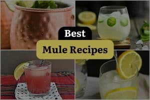 28 Best Mule Recipes