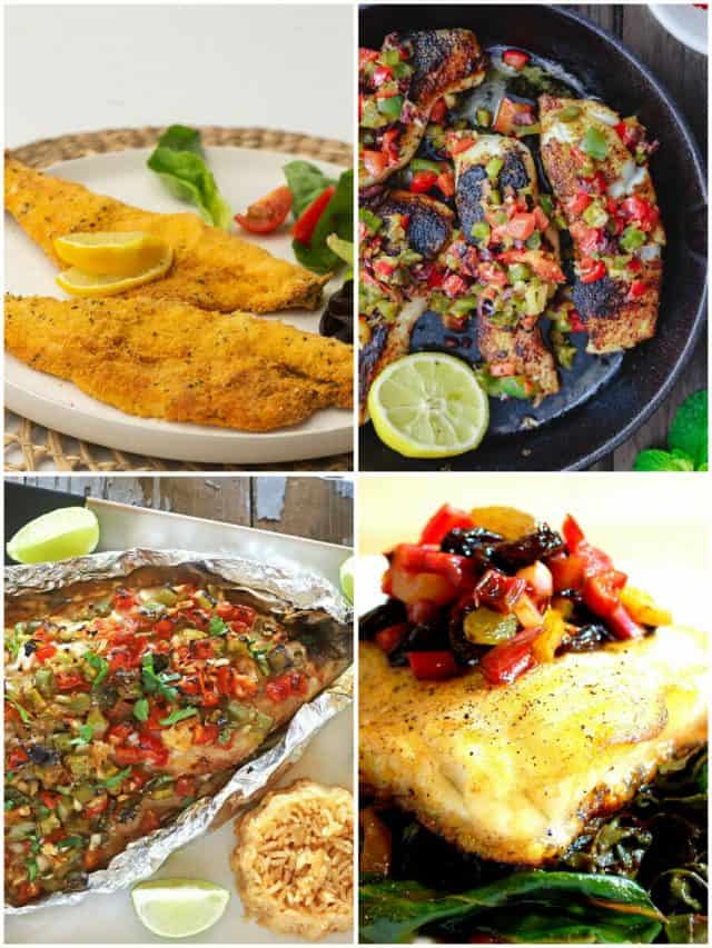 20 Sea Bass Recipes That Will Make A Splash In Your Kitchen!