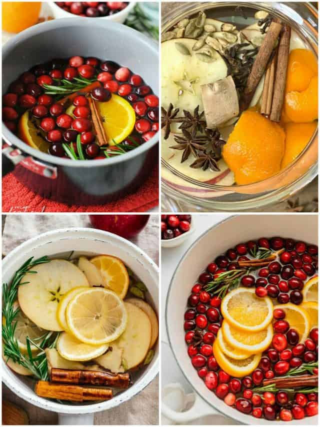 12 Simmer Pot Recipes To Delight Your Senses