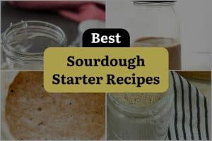 19 Best Sourdough Starter Recipes