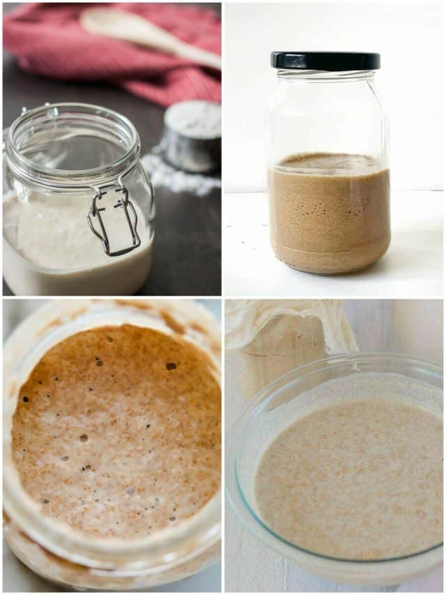 19 Sourdough Starter Recipes: Rise To Bread Perfection!