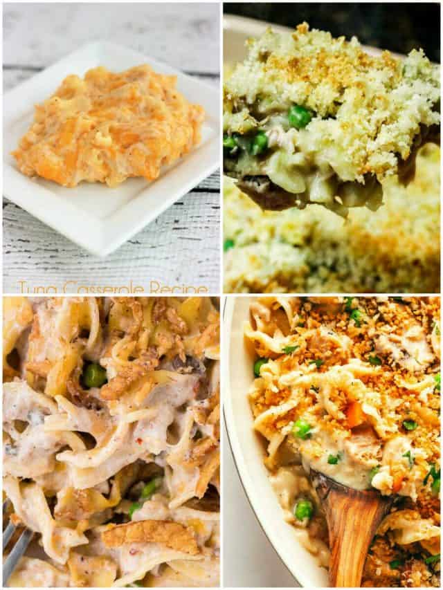 26 Tuna Casserole Recipes To Tantalize Your Taste Buds!