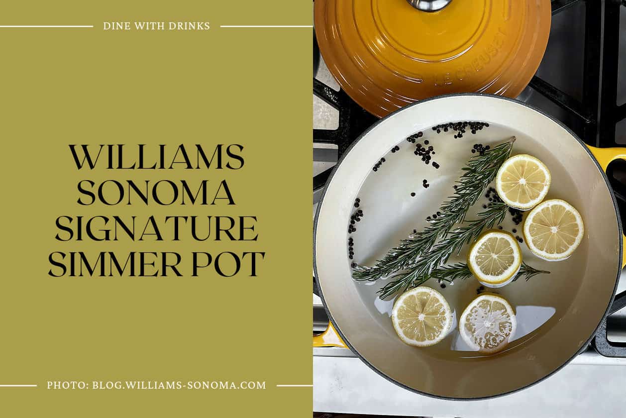 Williams Sonoma Signature Simmer Pot