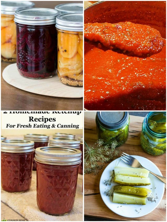 26 Canning Recipes To Preserve, Savor, And Spread Joy!