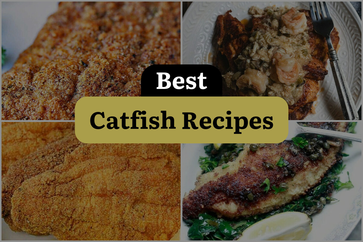 26 Best Catfish Recipes