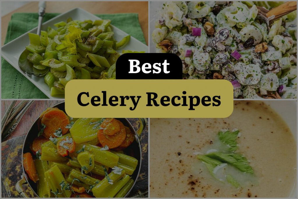 24 Celery Recipes That Will Make You Crunch with Delight DineWithDrinks