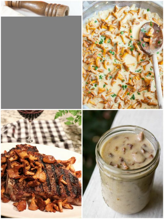 23 Chanterelle Recipes: From Forest To Fork, Taste The Best!