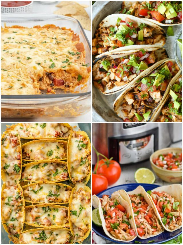 26 Chicken Taco Recipes: A Fiesta Of Flavor For Taco Lovers!
