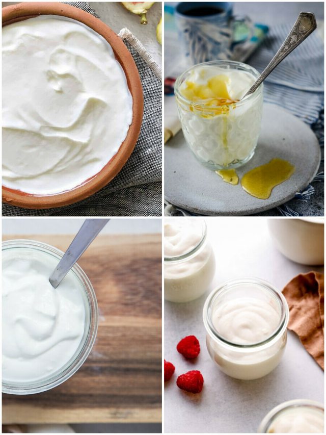 26 Greek Yogurt Recipes: Unleash The Creamy Deliciousness